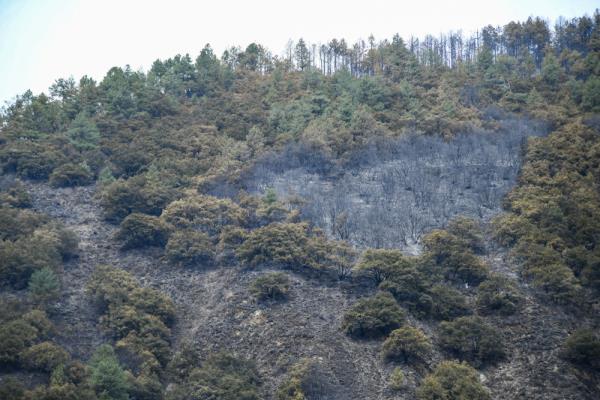 四川森林火灾救援