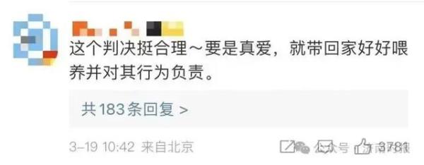 男子打羽毛球被流浪猫绊倒致十级伤残，投喂者被判赔24万元