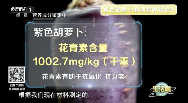 红色、紫色、橘色,不同颜色的胡萝卜营养大不同! 红色、紫色、橘色,不同颜色的胡萝卜营养大不同!