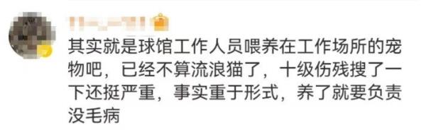热搜第一！上海一男子被流浪猫绊倒，投喂者被判赔24万...网友吵翻→