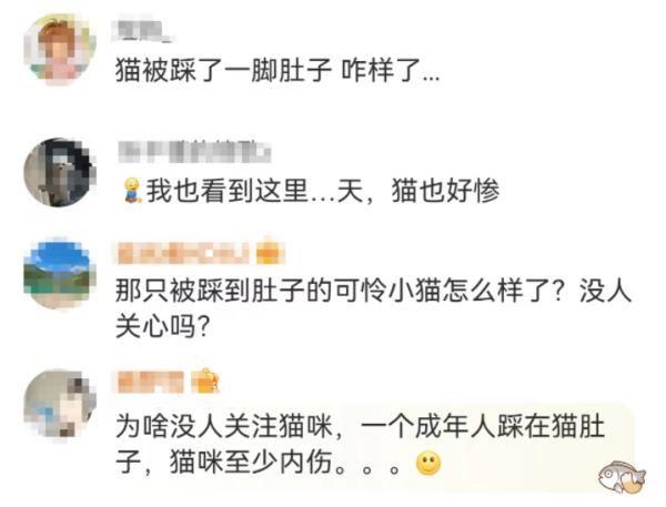热搜第一！上海一男子被流浪猫绊倒，投喂者被判赔24万...网友吵翻→