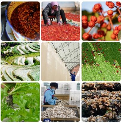 天水麻辣烫火爆出圈,甘肃其他地方的麻辣烫坐不住了 天水麻辣烫火爆出圈,甘肃其他地方的麻辣烫坐不住了