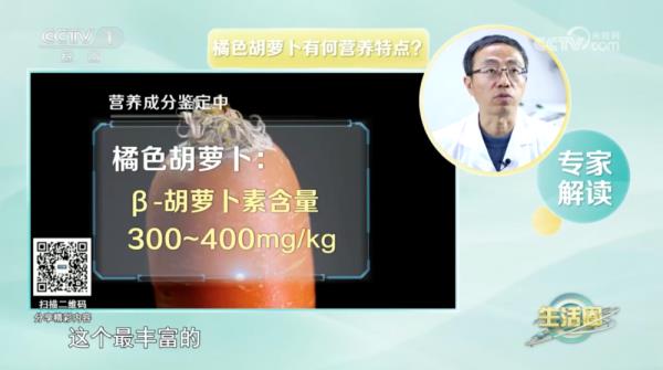 红色、紫色、橘色,不同颜色的胡萝卜营养大不同! 红色、紫色、橘色,不同颜色的胡萝卜营养大不同!