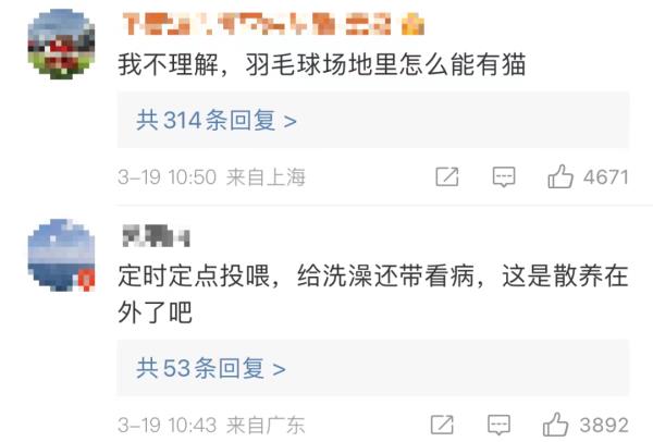 热搜第一！上海一男子被流浪猫绊倒，投喂者被判赔24万...网友吵翻→