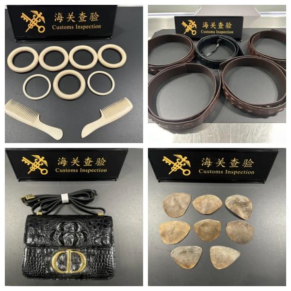 异常！杭州一入境旅客的行李箱中竟发现大量...