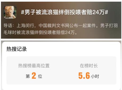 热搜第一！上海一男子被流浪猫绊倒，投喂者被判赔24万...网友吵翻→