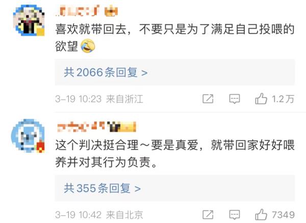 热搜第一！上海一男子被流浪猫绊倒，投喂者被判赔24万...网友吵翻→