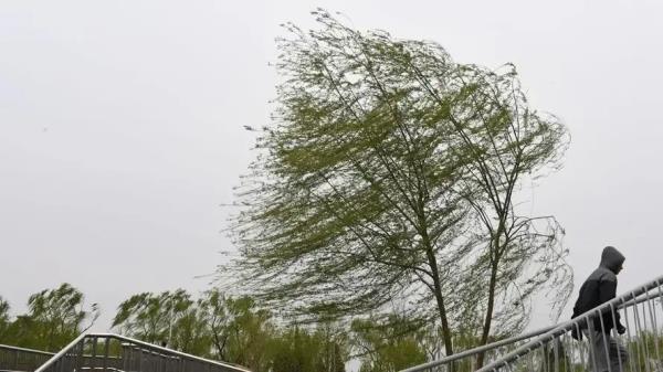北京多预警生效中!市教委:停止户外活动 北京多预警生效中!市教委:停止户外活动