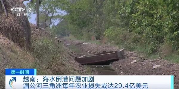 每年损失或达212亿元！越南这里，遭遇严重海水倒灌