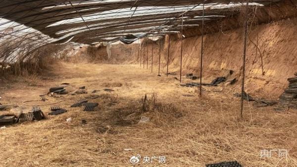 实探邯郸初中生遇害案现场，学校否认校园霸凌、家属不认可