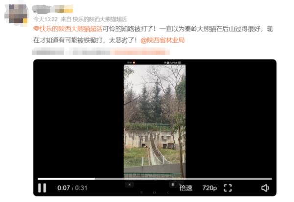 园方致歉！涉事员工被辞退