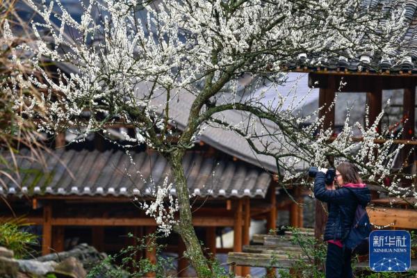 贵州榕江：传统村落激活乡村振兴新动能