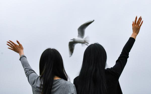 云南昆明:再见,红嘴鸥 云南昆明:再见,红嘴鸥