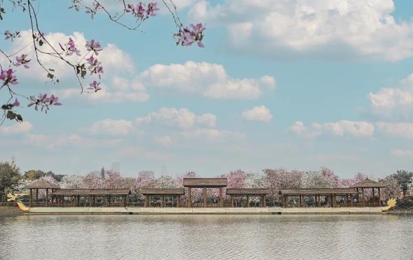 春分时节最佳赏花季到来 你眼中的春是什么花? 春分时节最佳赏花季到来 你眼中的春是什么花?