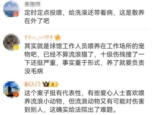 男子被流浪猫绊倒受伤，投喂者赔偿24万元