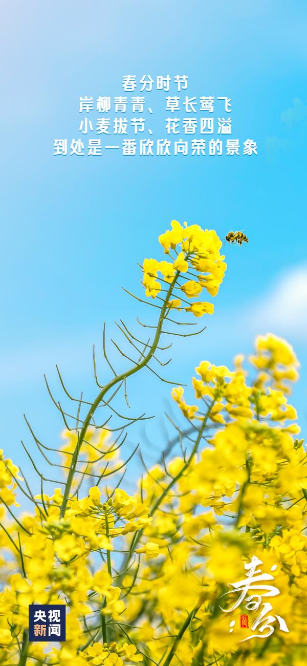 春分，大家该注意些什么？过敏人群又该如何做好防护？答案来了