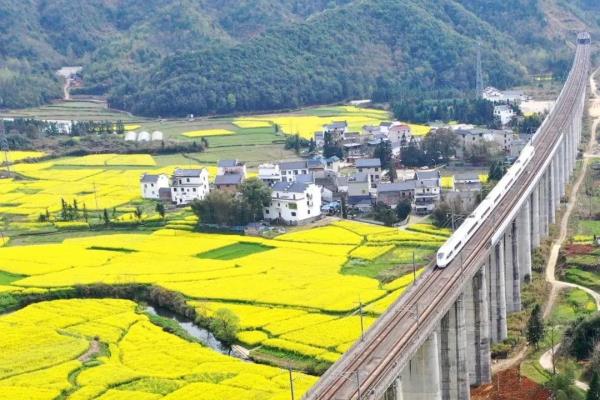 春分时节最佳赏花季到来 你眼中的春是什么花? 春分时节最佳赏花季到来 你眼中的春是什么花?