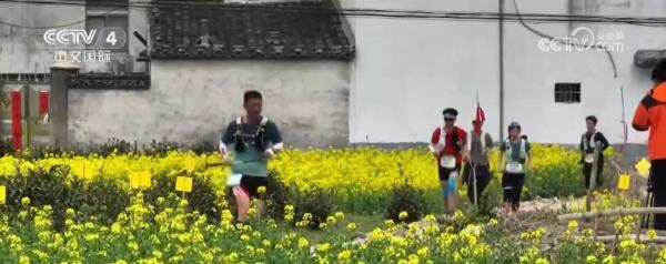 “赏花+”跨界融合激发春季旅游热潮 新型消费“多点开花”亮点频现