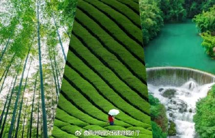 绝美！春分的贵州万紫千红