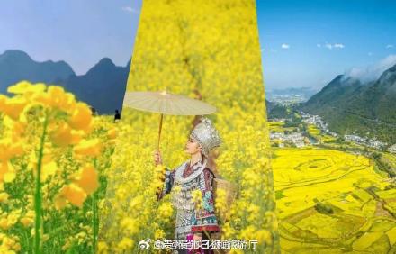 绝美！春分的贵州万紫千红