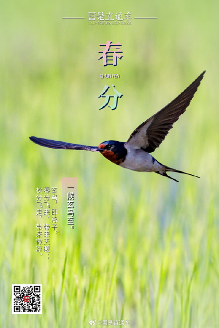 诗句中的24节气：春分