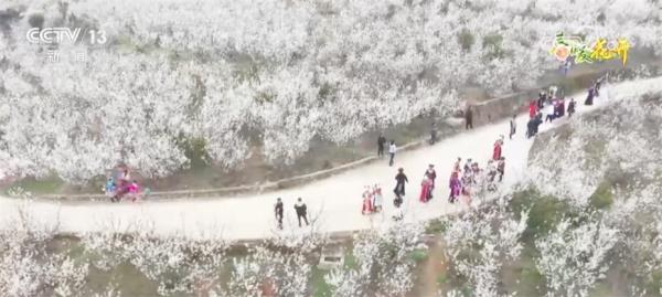 以“花”为媒持续推动农旅融合 各地经济发展“春暖花开”朝气蓬勃