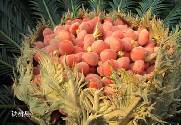 小心中毒!湖南疾控最新提醒 小心中毒!湖南疾控最新提醒