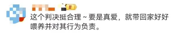 男子被流浪猫绊倒受伤，投喂者赔偿24万元