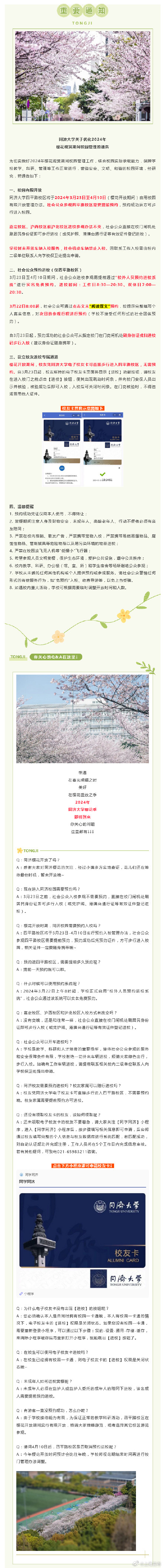 同济大学樱花季即将上线！四平路校区需提前预约参观