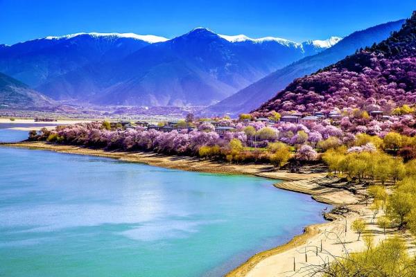 春分时节最佳赏花季到来 你眼中的春是什么花? 春分时节最佳赏花季到来 你眼中的春是什么花?