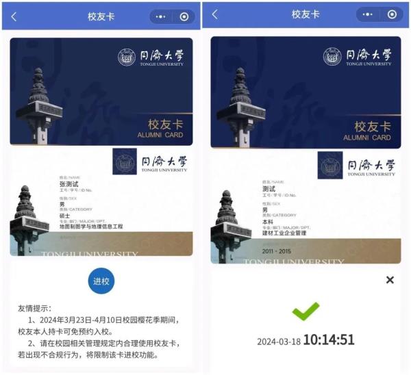 本周末起樱花开放！同济大学四平路校区要预约了