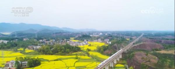 “赏花+”跨界融合激发春季旅游热潮 新型消费“多点开花”亮点频现