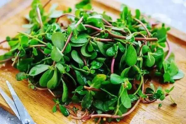 小心中毒!湖南疾控最新提醒 小心中毒!湖南疾控最新提醒