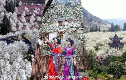 绝美！春分的贵州万紫千红