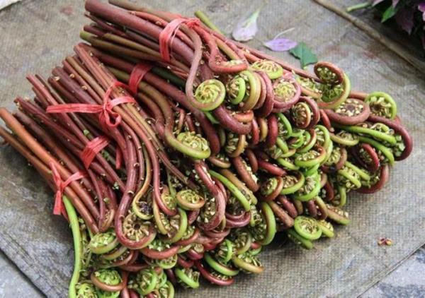 小心中毒!湖南疾控最新提醒 小心中毒!湖南疾控最新提醒