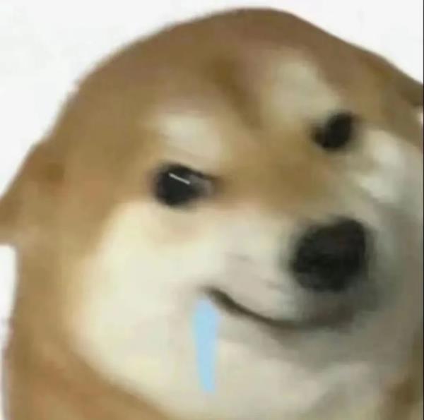 真爱or霸凌：人类首次记录座头鲸交配！居然都是雄性？