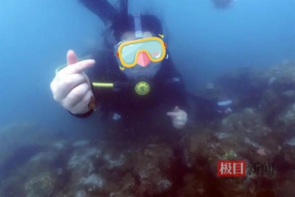 旅游的坑！三亚警方发布通告，公开征集这类线索！