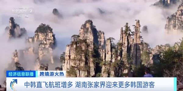 这里“长满”韩国人!多家航空公司宣布:扩增航班 这里“长满”韩国人!多家航空公司宣布:扩增航班
