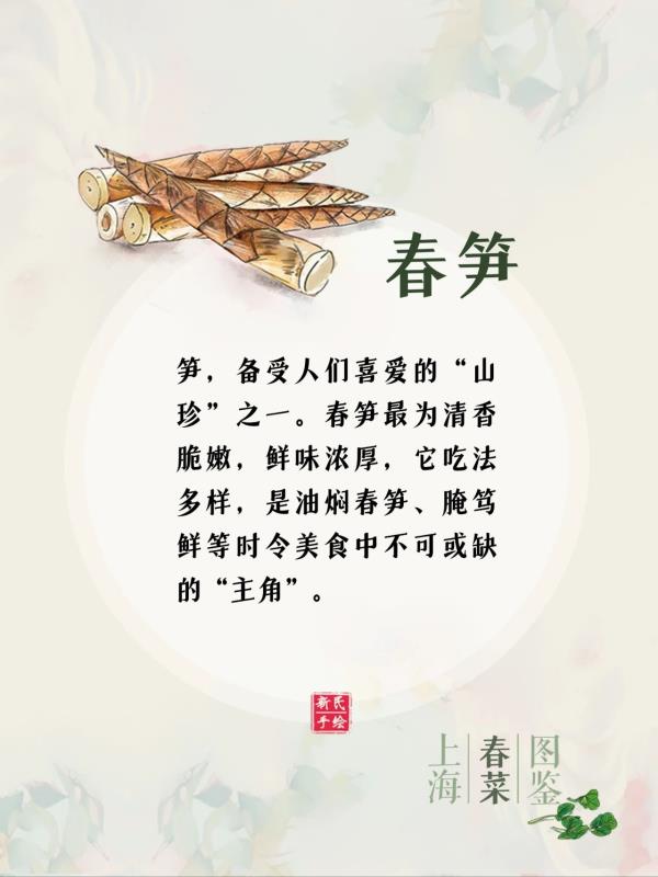 上海春菜图鉴