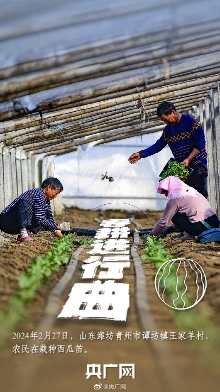 听！田野上的春耕进行曲