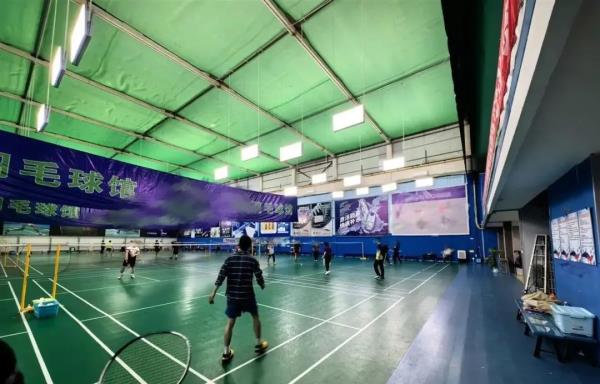 男子打球时被流浪猫绊倒致残,投喂者被判赔24万 男子打球时被流浪猫绊倒致残,投喂者被判赔24万