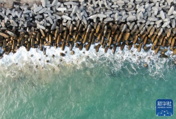 美丽南澳醉游人