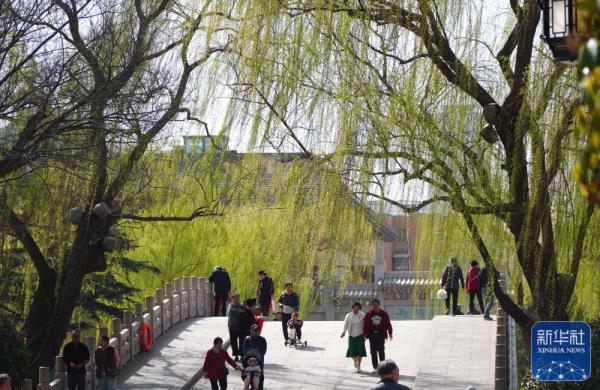 大明湖春日柳色新