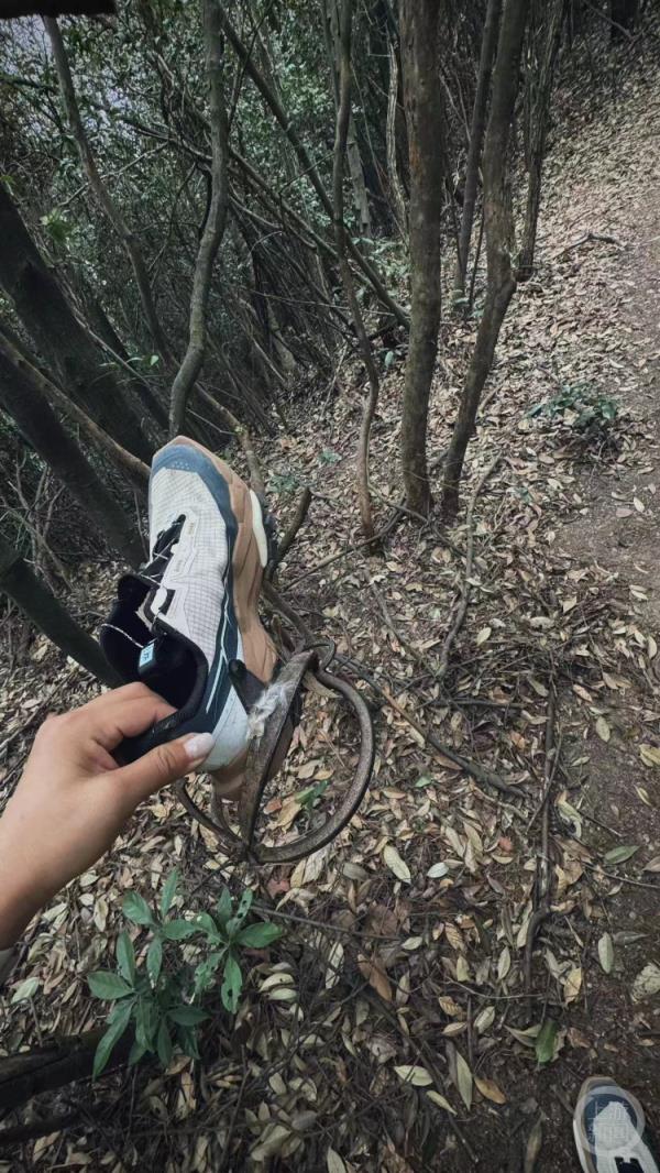 两个手掌那么大！女子徒步莫干山踩中捕兽夹