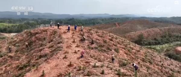 218.86亿、151.37亿、114.43亿……“中国绿”为世界添色