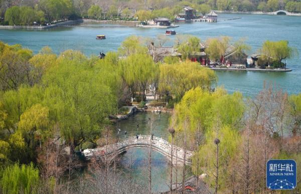 大明湖春日柳色新