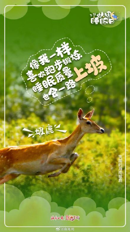 今天,海南的动物们喊你好好睡觉! 今天,海南的动物们喊你好好睡觉!