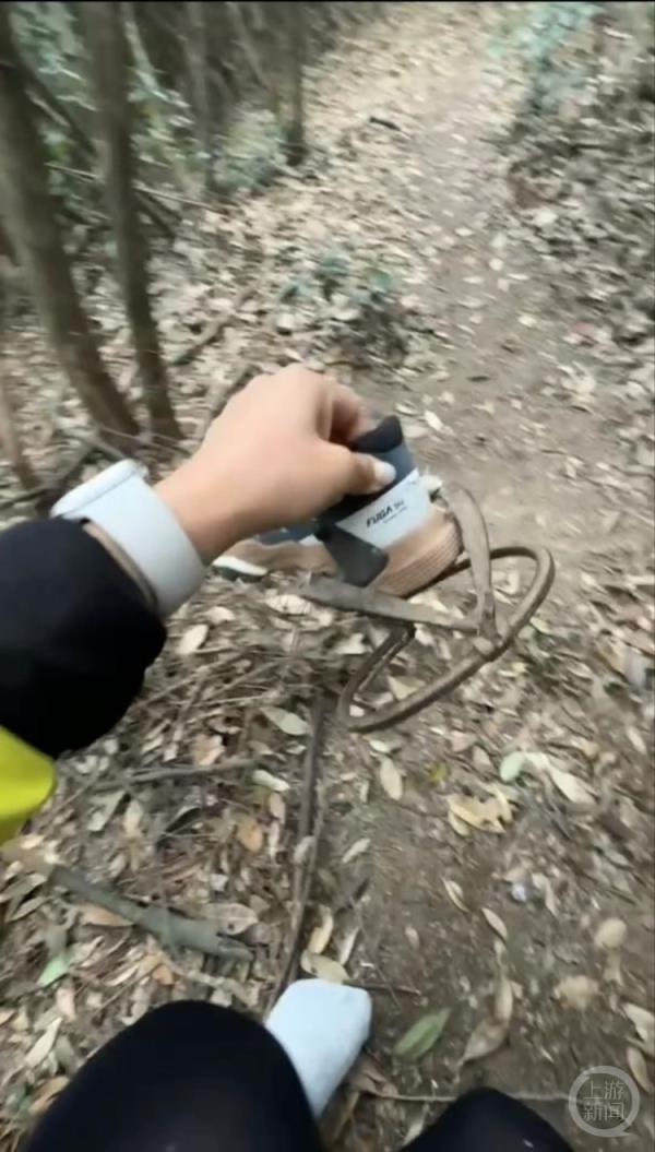两个手掌那么大！女子徒步莫干山踩中捕兽夹