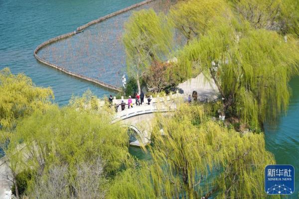 大明湖春日柳色新