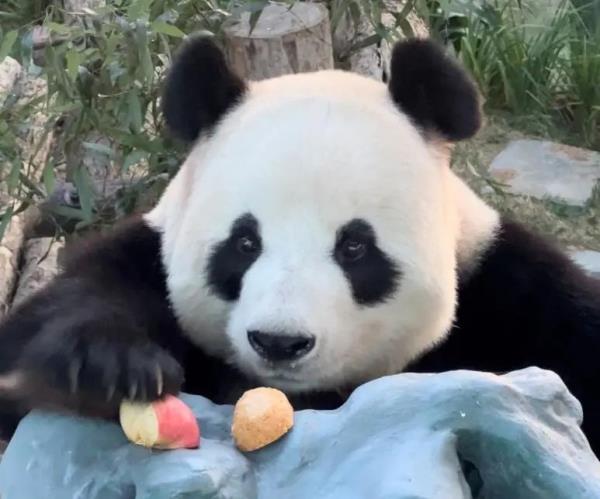 中国首次!为什么是大连? 中国首次!为什么是大连?